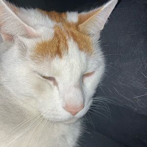 Meet your Posher, Hillary